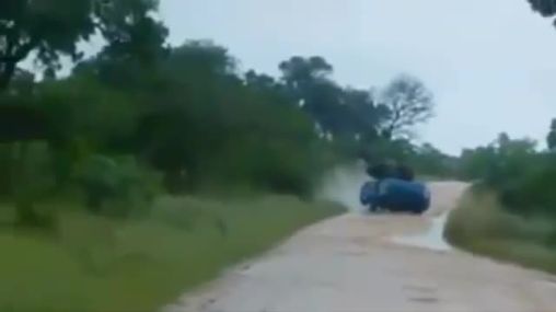 Angry Elephant Flips Volkswagen Car in Kruger National Park