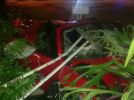 2014 Ferrari 458 Spyder crashed into house in Miami Beach 2014 Ferrari 458 Spyder crashed into house in Miami Beach