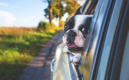 Making Your Car Durable For All Eventualities