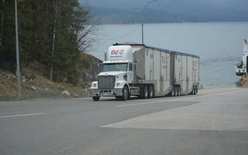 Being a Truck Driver: Things to Consider Before You Put Your Foot on the Gas!