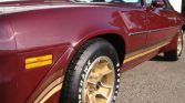 1981 Chevrolet Camaro Z28 2 door coupe with 34k miles (4)