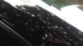Black 2010 Chevrolet Camaro SS RS 6.2L V8 428 HP For Sale (3)