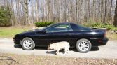 Black 2001 Chevrolet Camaro Z28 automatic no rust For Sale (7)