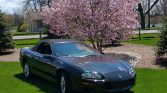 35th Anniversary 2002 Chevrolet Camaro Z28 Convertible For Sale (6)
