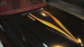 2nd gen 1980 Chevrolet Camaro Z28 350 4spd T-top For Sale (4)