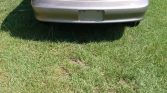 4th generation 2001 Chevrolet Camaro V6 automatic For Sale