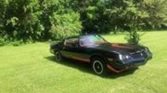 2nd gen 1979 Chevrolet Camaro Z28 T-Tops automatic For Sale