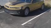 5th gen Black and Gold vinyl 2014 Chevrolet Camaro LS For Sale